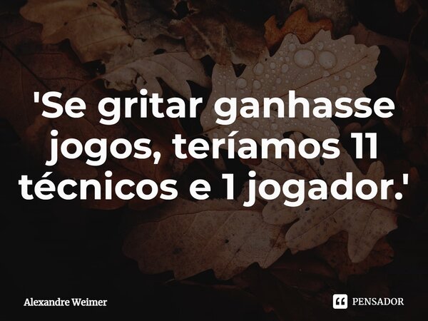 'Se gritar ganhasse jogos, teríamos 11 técnicos e 1 jogador.'... Frase de Alexandre Weimer.