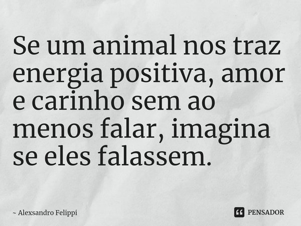 ⁠Se um animal nos traz energia positiva, amor e carinho sem ao menos falar, imagina se eles falassem.... Frase de Alexsandro Felippi.