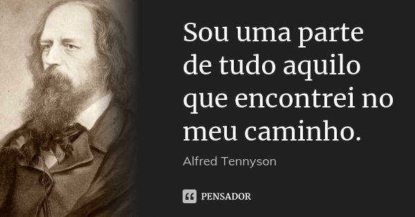 Sou uma parte de tudo aquilo que encontrei no meu caminho.... Frase de Alfred Tennyson.