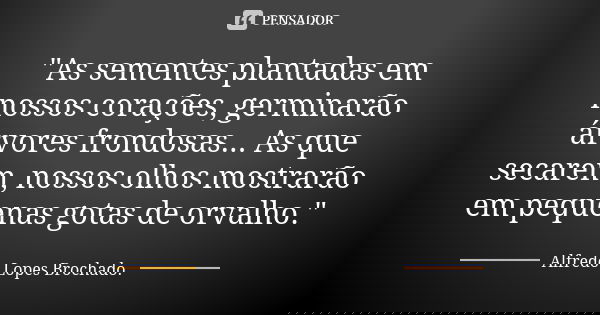 "As sementes plantadas em nossos corações, germinarão árvores frondosas... As que secarem, nossos olhos mostrarão em pequenas gotas de orvalho."... Frase de Alfredo Lopes Brochado..