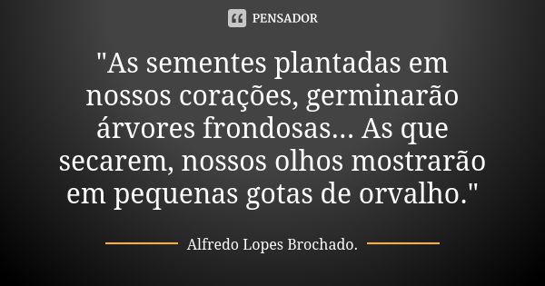 "As sementes plantadas em nossos corações, germinarão árvores frondosas... As que secarem, nossos olhos mostrarão em pequenas gotas de orvalho."... Frase de Alfredo Lopes Brochado..