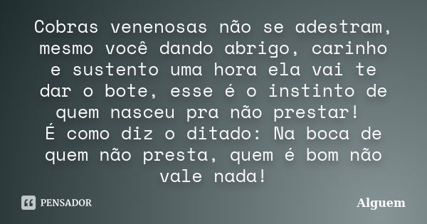 Cobras venenosas não se adestram, mesmo você dando abrigo, carinho e sustento uma hora ela vai te dar o bote, esse é o instinto de quem nasceu pra não prestar! ... Frase de alguém.