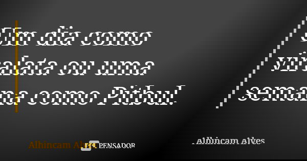Um dia como viralata ou uma semana como Pitbul.... Frase de Alhincam Alves.