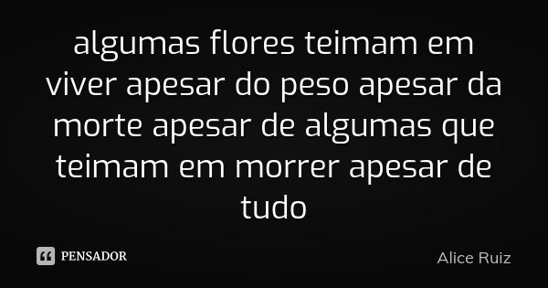 algumas flores teimam em viver apesar do peso apesar da morte apesar de algumas que teimam em morrer apesar de tudo... Frase de Alice Ruiz.