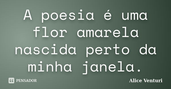 A poesia é uma flor amarela nascida perto da minha janela.... Frase de Alice Venturi.