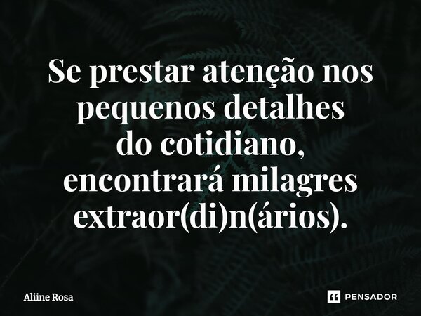 ⁠Se prestar atenção nos pequenos detalhes do cotidiano, encontrará milagres extraor(di)n(ários).... Frase de Aliine Rosa.