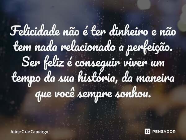 ⁠Felicidade não é ter dinheiro e não tem nada relacionado a perfeição. Ser feliz é conseguir viver um tempo da sua história, da maneira que você sempre sonhou.... Frase de Aline C de Camargo.