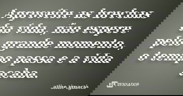 Aproveite as brechas da vida, não espere pelo grande momento, o tempo passa e a vida acaba.... Frase de Aline Ignácio.