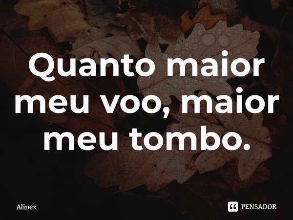 ⁠Quanto maior meu voo, maior meu tombo.... Frase de Alinex.