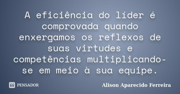 A eficiência do líder é comprovada quando enxergamos os reflexos de suas virtudes e competências multiplicando-se em meio à sua equipe.... Frase de Alison Aparecido Ferreira.