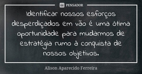 Identificar nossos esforços desperdiçados em vão é uma ótima oportunidade para mudarmos de estratégia rumo à conquista de nossos objetivos.... Frase de Alison Aparecido Ferreira.