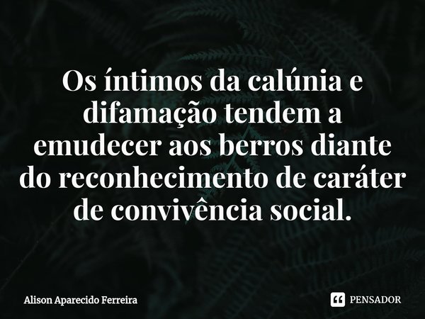 ⁠Os íntimos da calúnia e difamação tendem a emudecer aos berros diante do reconhecimento de caráter de convivência social.... Frase de Alison Aparecido Ferreira.