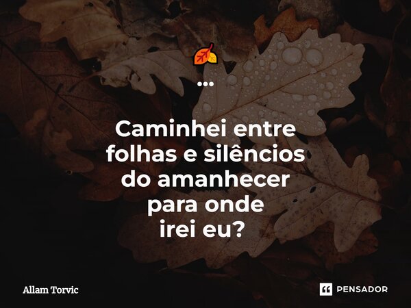 🍂 ... Caminhei entre folhas e silêncios do amanhecer para onde irei eu? ⁠... Frase de Allam Torvic.