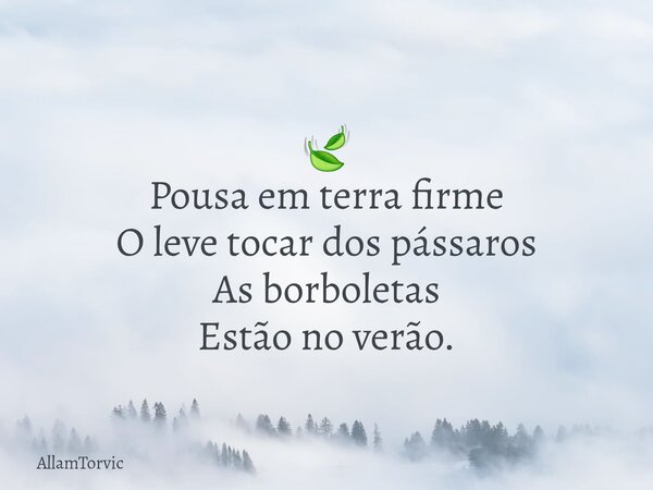 🍃 Pousa em terra firme O leve tocar dos pássaros As borboletas Estão no verão.... Frase de AllamTorvic.