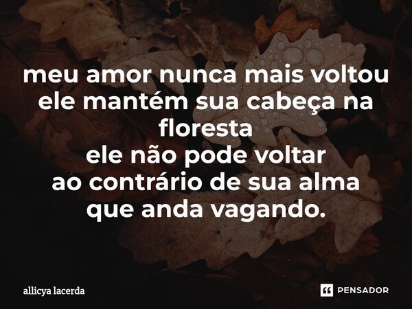 ⁠meu amor nunca mais voltou ele mantém sua cabeça na floresta ele não pode voltar ao contrário de sua alma que anda vagando.... Frase de allicya lacerda.