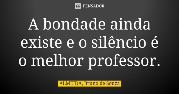 A bondade ainda existe e o silêncio é o melhor professor.... Frase de ALMEIDA, Bruno de Souza.