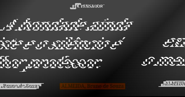 A bondade ainda existe e o silêncio é o melhor professor.... Frase de ALMEIDA, Bruno de Souza.