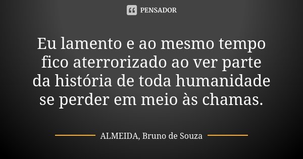 Eu lamento e ao mesmo tempo fico aterrorizado ao ver parte da história de toda humanidade se perder em meio às chamas.... Frase de ALMEIDA, Bruno de Souza.