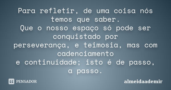 Para refletir, de uma coisa nós temos que saber. Que o nosso espaço só pode ser conquistado por perseverança, e teimosia, mas com cadenciamento e continuidade; ... Frase de almeidaademir.