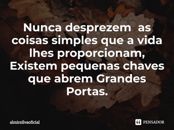 ⁠Nunca desprezem as coisas simples que a vida lhes proporcionam,
Existem pequenas chaves que abrem Grandes Portas.... Frase de almirsilvaoficial.