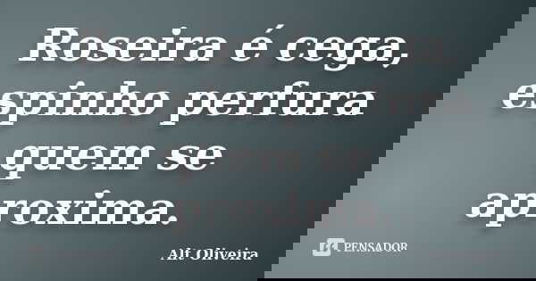 Roseira é cega, espinho perfura quem se aproxima.... Frase de Alt Oliveira.