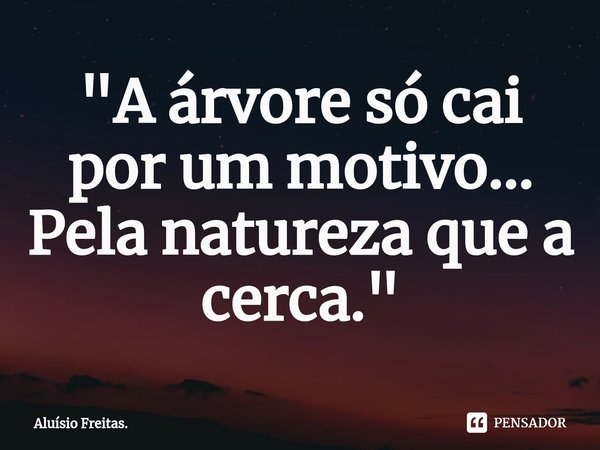 "A árvore só cai por um motivo... Pela natureza que a cerca.⁠"... Frase de Aluísio Freitas..