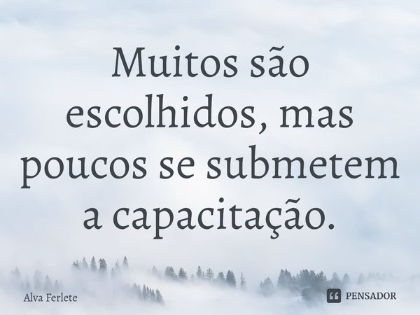 Muitos são escolhidos, mas poucos se submetem a capacitação⁠.... Frase de Alva Ferlete.