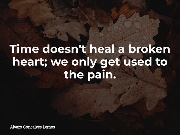 Time doesn't heal a broken heart; we only get used to the pain.... Frase de Alvaro Goncalves Lemos.