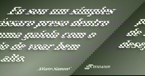 Eu sou um simples pássaro preso dentro de uma gaiola com o desejo de voar bem alto.... Frase de Alvaro Samuel.