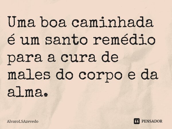 ⁠Uma boa caminhada é um santo remédio para a cura de males do corpo e da alma.... Frase de AlvaroLSAzevedo.