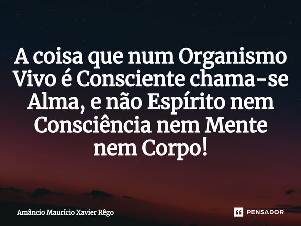A coisa que num Organismo Vivo é Consciente chama-se Alma, e não Espírito nem Consciência nem Mente nem Corpo!⁠... Frase de Amâncio Maurício Xavier Rêgo.