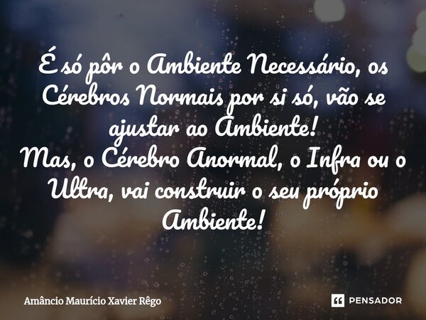 É só pôr o Ambiente Necessário, os Cérebros Normais por si só, vão se ajustar ao Ambiente! Mas, o Cérebro Anormal, o Infra ou o Ultra, vai construir o seu própr... Frase de Amâncio Maurício Xavier Rêgo.