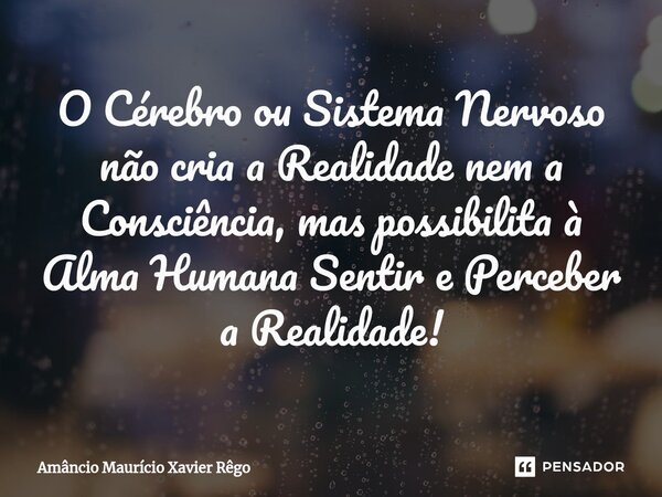 O Cérebro ou Sistema Nervoso não cria a Realidade nem a Consciência, mas possibilita à Alma Humana Sentir e Perceber a Realidade!⁠... Frase de Amâncio Maurício Xavier Rêgo.