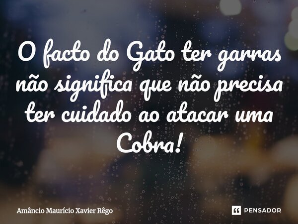 ⁠O facto do Gato ter garras não significa que não precisa ter cuidado ao atacar uma Cobra!... Frase de Amâncio Maurício Xavier Rêgo.