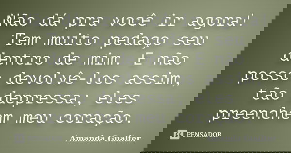 Não dá pra você ir agora! Tem muito pedaço seu dentro de mim. E não posso devolvê-los assim, tão depressa; eles preenchem meu coração.... Frase de Amanda Gualter.