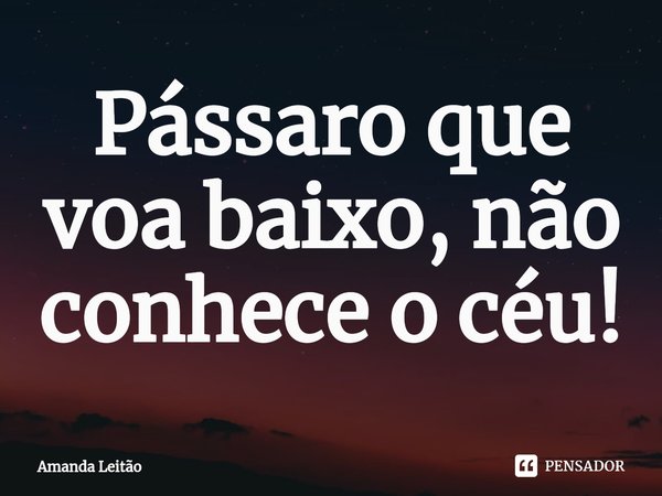 ⁠Pássaro que voa baixo, não conhece o céu!... Frase de Amanda Leitão.