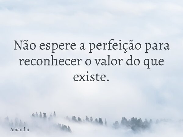 Não espere a perfeição para reconhecer o valor do que existe.... Frase de Amandin.