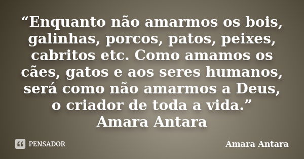 “Enquanto não amarmos os bois, galinhas, porcos, patos, peixes, cabritos etc. Como amamos os cães, gatos e aos seres humanos, será como não amarmos a Deus, o cr... Frase de Amara Antara.