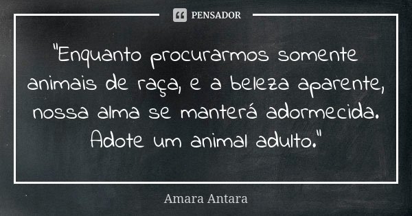 “Enquanto procurarmos somente animais de raça, e a beleza aparente, nossa alma se manterá adormecida. Adote um animal adulto.”... Frase de Amara Antara.