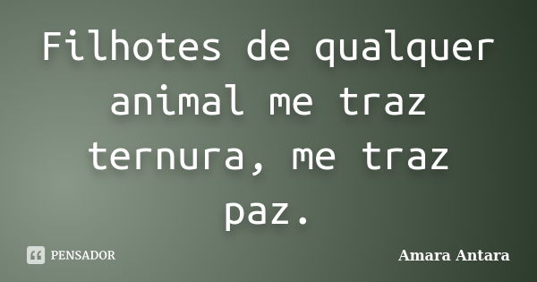 Filhotes de qualquer animal me traz ternura, me traz paz.... Frase de Amara Antara.