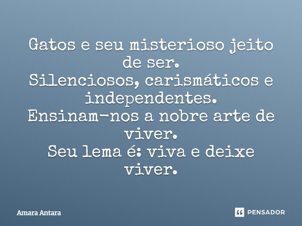 Gatos e seu misterioso jeito de ser. Silenciosos, carismáticos e independentes. Ensinam-nos a nobre arte de viver. Seu lema é: viva e deixe viver.... Frase de Amara Antara.