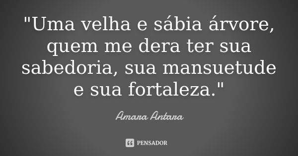 "Uma velha e sábia árvore, quem me dera ter sua sabedoria, sua mansuetude e sua fortaleza."... Frase de Amara Antara.