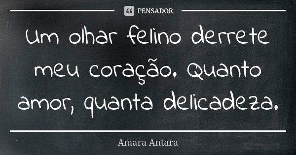 Um olhar felino derrete meu coração. Quanto amor, quanta delicadeza.... Frase de Amara Antara.