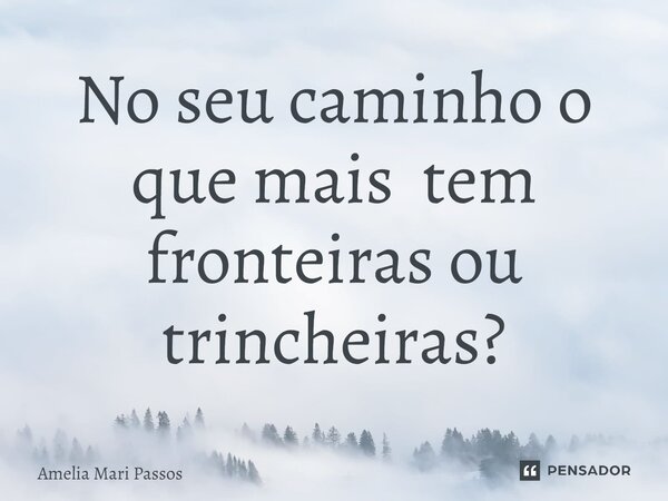 ⁠No seu caminho o que mais tem fronteiras ou trincheiras?... Frase de Amelia Mari Passos.