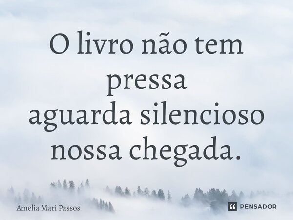 ⁠O livro não tem pressa aguarda silencioso nossa chegada.... Frase de Amelia Mari Passos.