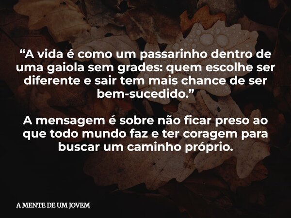 “A vida é como um passarinho dentro de uma gaiola sem grades: quem escolhe ser diferente e sair tem mais chance de ser bem-sucedido.” A mensagem é sobre não fic... Frase de A MENTE DE UM JOVEM.
