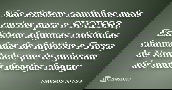 Não existem caminhos mais curtos para o SUCESSO, Existem algumas coisinhas chamadas de objetivo e Força de Vontade que te guiaram até onde desejas chegar... Frase de AMESON VIANA.