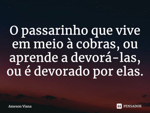 O passarinho que vive em meio à cobras, ou aprende a devorá-las, ou é devorado por elas.... Frase de AMESON VIANA.