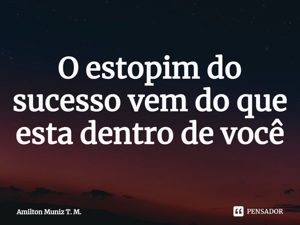 ⁠O estopim do sucesso vem do que esta dentro de você... Frase de Amilton Muniz T. M..