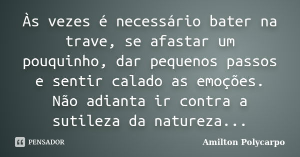 Às vezes é necessário bater na trave, se afastar um pouquinho, dar pequenos passos e sentir calado as emoções. Não adianta ir contra a sutileza da natureza...... Frase de Amilton Polycarpo.